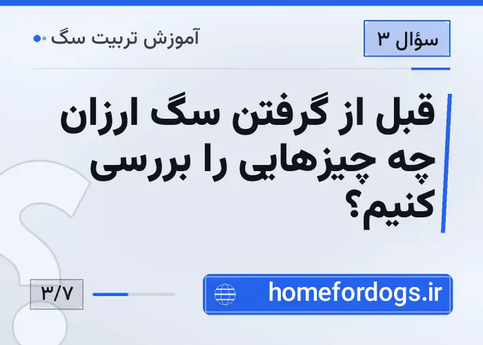 قبل از گرفتن سگ ارزان چه چیزهایی را بررسی کنیم؟