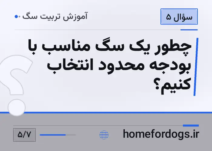 چطور یک سگ مناسب با بودجه محدود انتخاب کنیم؟