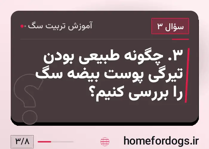 ۳. چگونه طبیعی بودن تیرگی پوست بیضه سگ را بررسی کنیم؟
