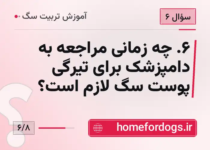 ۶. چه زمانی مراجعه به دامپزشک برای تیرگی پوست سگ لازم است؟