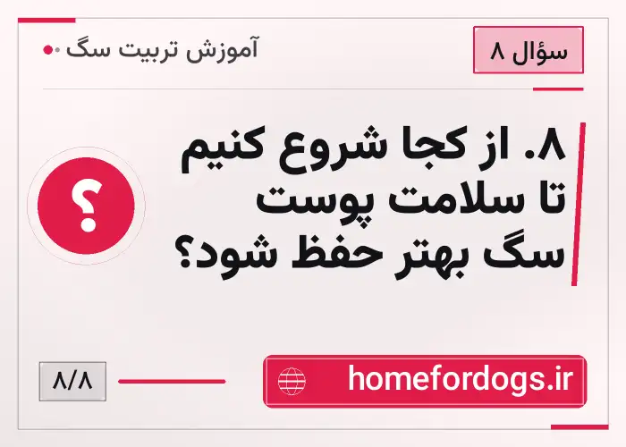 ۸. از کجا شروع کنیم تا سلامت پوست سگ بهتر حفظ شود؟