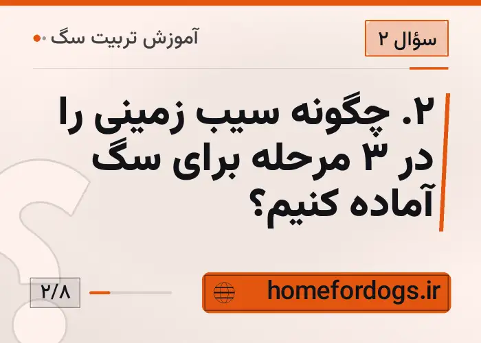۲. چگونه سیب زمینی را در ۳ مرحله برای سگ آماده کنیم؟