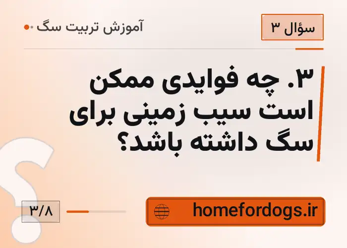 ۳. چه فوایدی ممکن است سیب زمینی برای سگ داشته باشد؟
