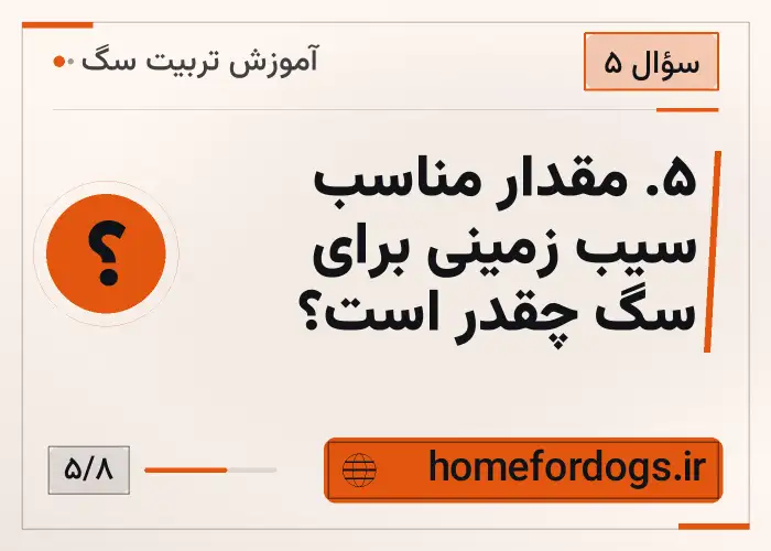 ۵. مقدار مناسب سیب زمینی برای سگ چقدر است؟