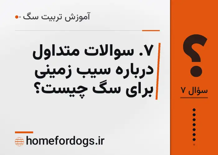 ۷. سوالات متداول درباره سیب زمینی برای سگ چیست؟
