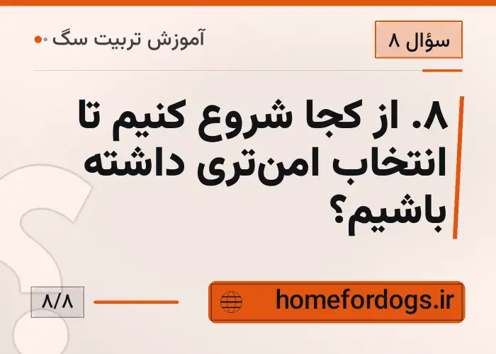 ۸. از کجا شروع کنیم تا انتخاب امن‌تری داشته باشیم؟