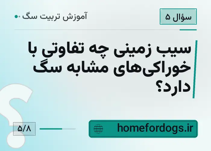 سیب زمینی چه تفاوتی با خوراکی‌های مشابه سگ دارد؟