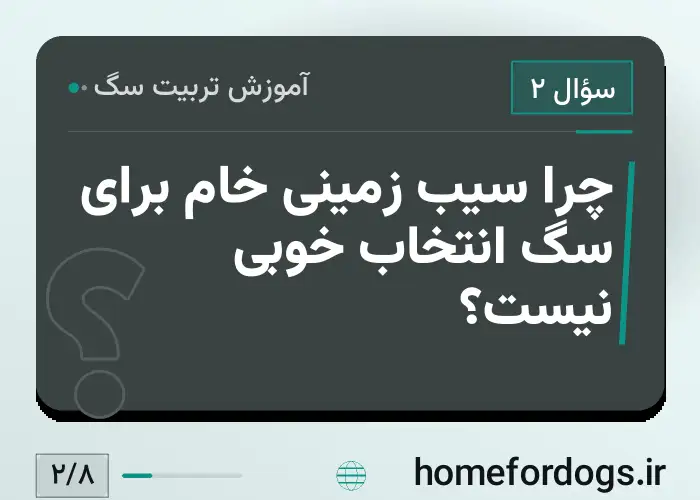 چرا سیب زمینی خام برای سگ انتخاب خوبی نیست؟