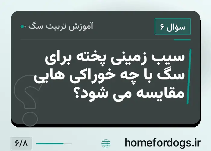 سیب زمینی پخته برای سگ با چه خوراکی هایی مقایسه می شود؟
