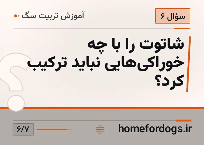 شاتوت را با چه خوراکی‌هایی نباید ترکیب کرد؟