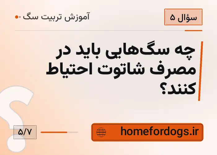 چه سگ‌هایی باید در مصرف شاتوت احتیاط کنند؟