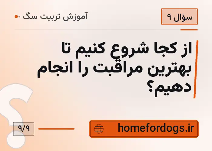 از کجا شروع کنیم تا بهترین مراقبت را انجام دهیم؟