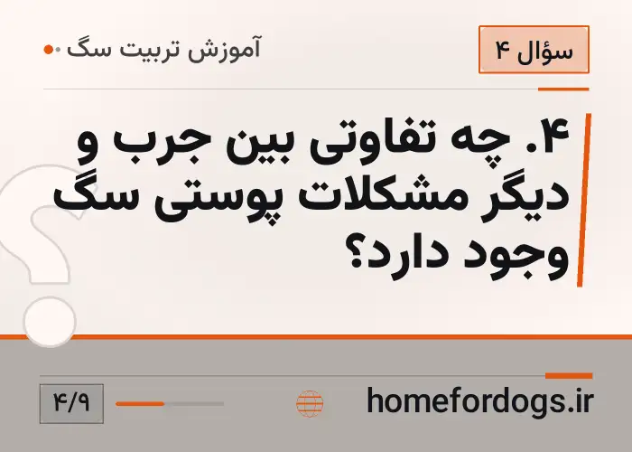 ۴. چه تفاوتی بین جرب و دیگر مشکلات پوستی سگ وجود دارد؟