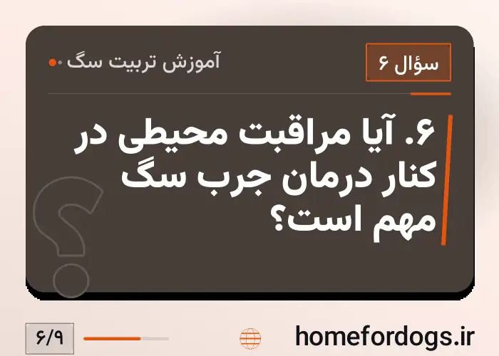 ۶. آیا مراقبت محیطی در کنار درمان جرب سگ مهم است؟