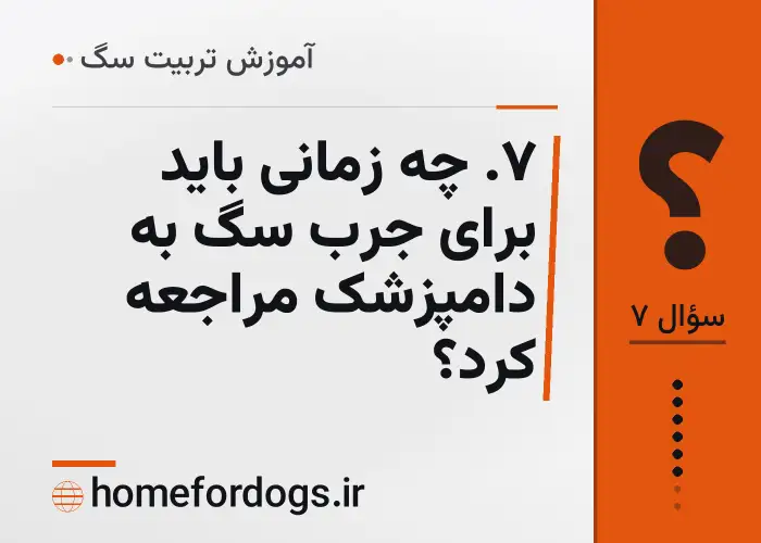 ۷. چه زمانی باید برای جرب سگ به دامپزشک مراجعه کرد؟