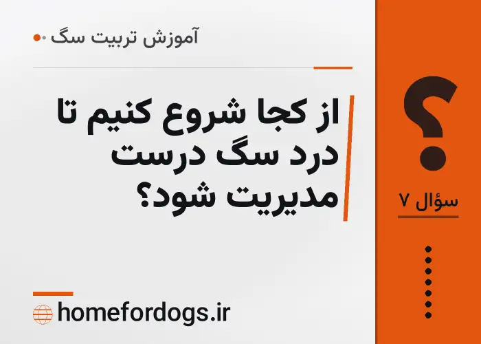 از کجا شروع کنیم تا درد سگ درست مدیریت شود؟