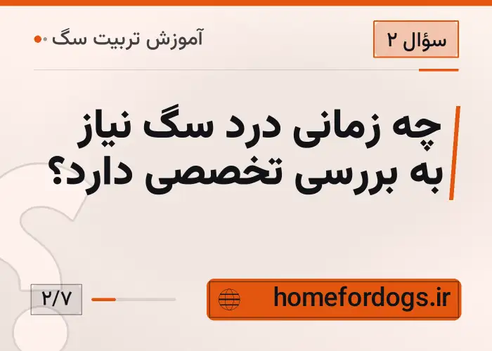 چه زمانی درد سگ نیاز به بررسی تخصصی دارد؟