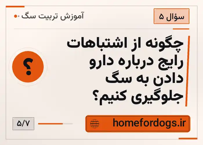 چگونه از اشتباهات رایج درباره دارو دادن به سگ جلوگیری کنیم؟