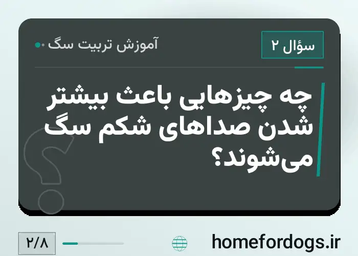 چه چیزهایی باعث بیشتر شدن صداهای شکم سگ می‌شوند؟