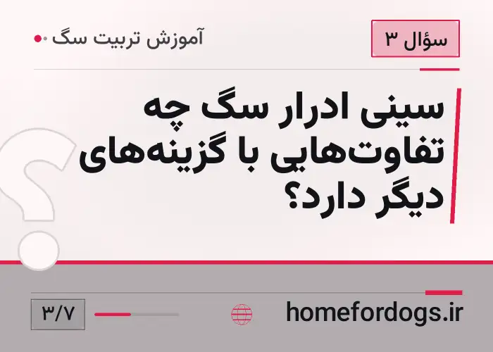 سینی ادرار سگ چه تفاوت‌هایی با گزینه‌های دیگر دارد؟