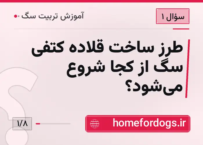طرز ساخت قلاده کتفی سگ از کجا شروع می‌شود؟
