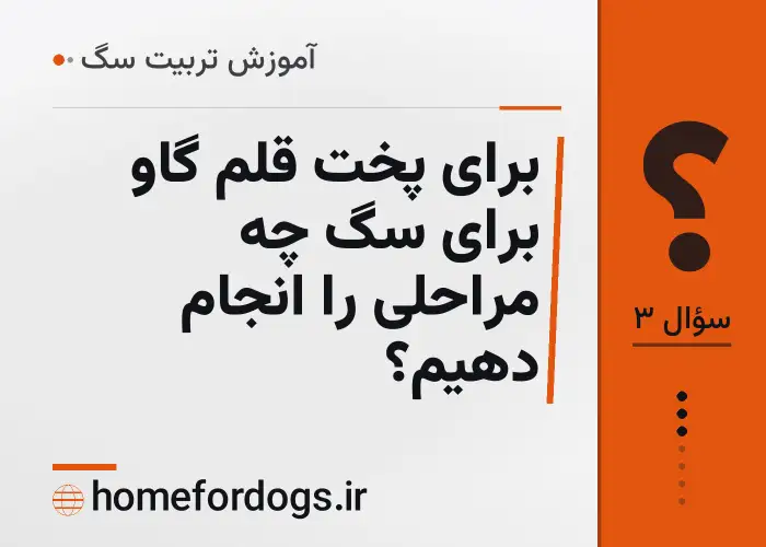 برای پخت قلم گاو برای سگ چه مراحلی را انجام دهیم؟