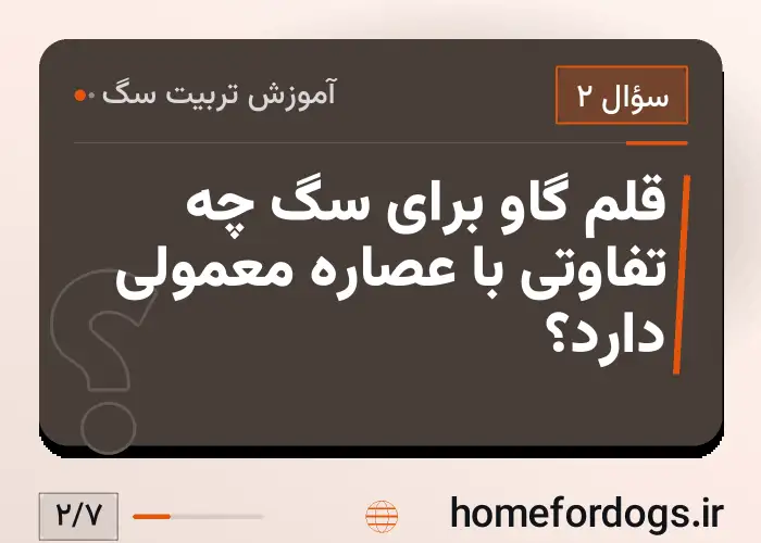 قلم گاو برای سگ چه تفاوتی با عصاره معمولی دارد؟