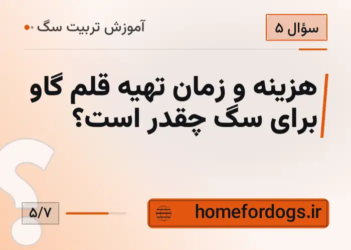 هزینه و زمان تهیه قلم گاو برای سگ چقدر است؟