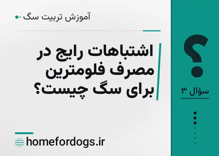 اشتباهات رایج در مصرف فلومترین برای سگ چیست؟