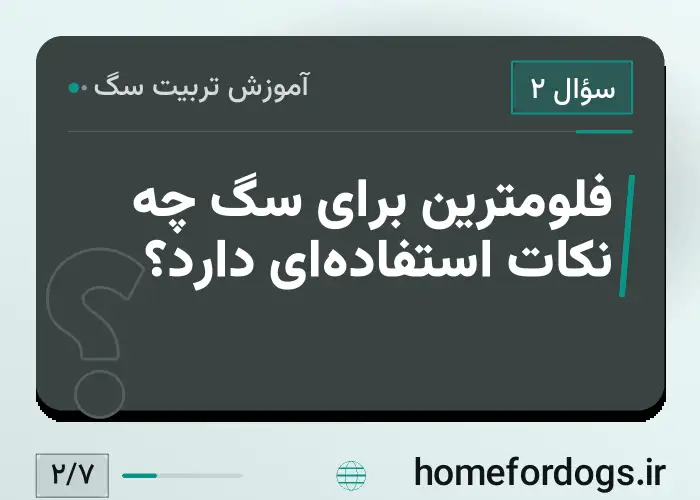 فلومترین برای سگ چه نکات استفاده‌ای دارد؟