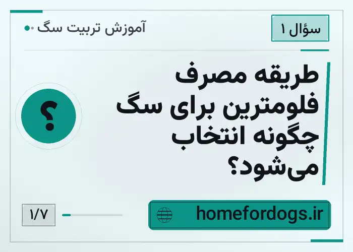 طریقه مصرف فلومترین برای سگ چگونه انتخاب می‌شود؟