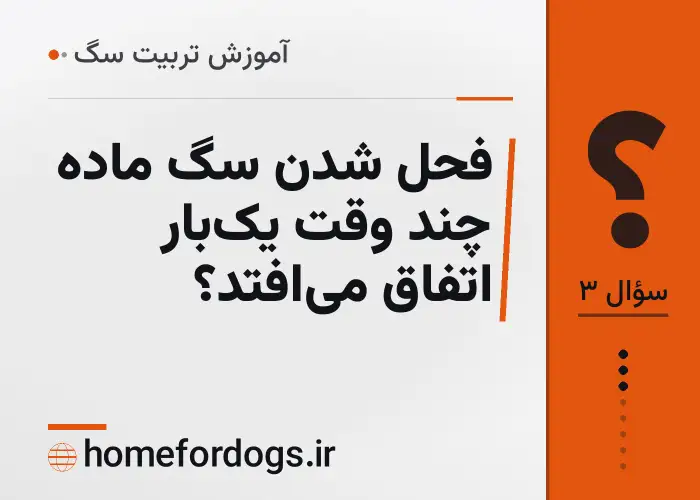 فحل شدن سگ ماده چند وقت یک‌بار اتفاق می‌افتد؟