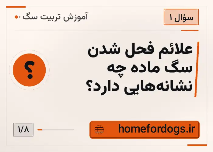 علائم فحل شدن سگ ماده چه نشانه‌هایی دارد؟
