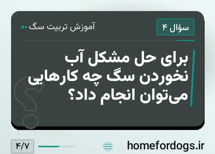 برای حل مشکل آب نخوردن سگ چه کارهایی می‌توان انجام داد؟