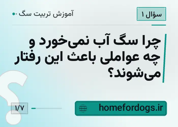 چرا سگ آب نمی‌خورد و چه عواملی باعث این رفتار می‌شوند؟