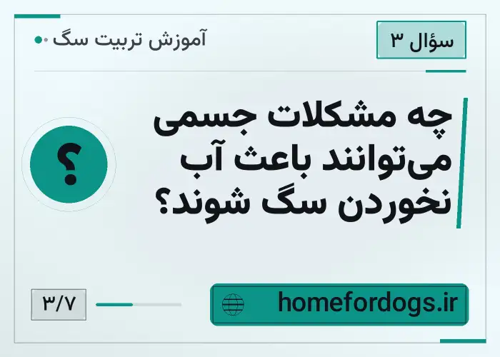 چه مشکلات جسمی می‌توانند باعث آب نخوردن سگ شوند؟