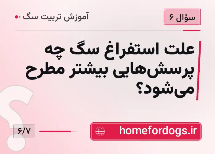 علت استفراغ سگ چه پرسش‌هایی بیشتر مطرح می‌شود؟