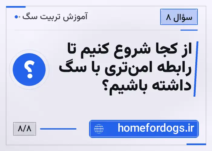 از کجا شروع کنیم تا رابطه امن‌تری با سگ داشته باشیم؟