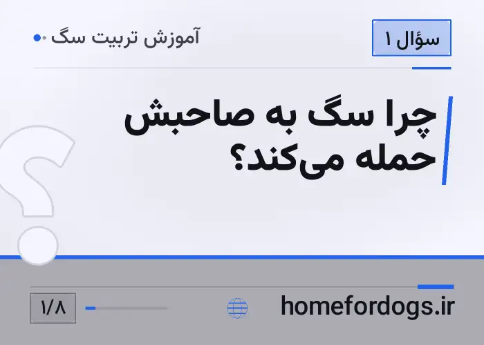 چرا سگ به صاحبش حمله می‌کند؟