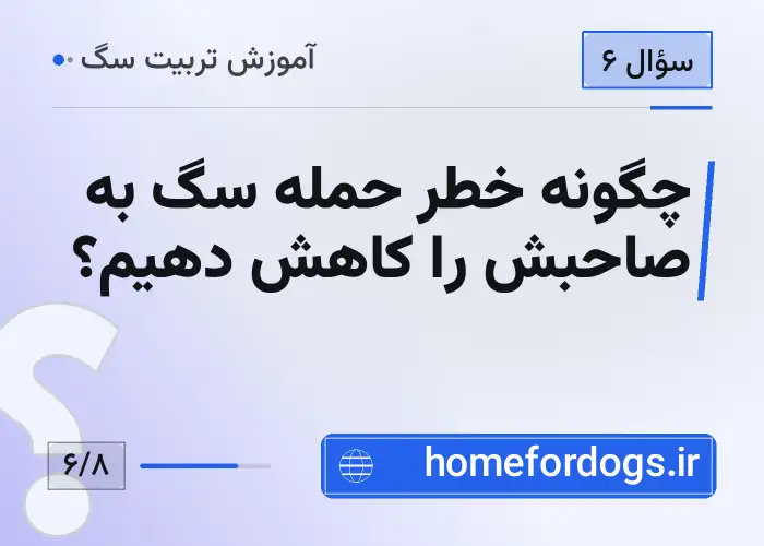 چگونه خطر حمله سگ به صاحبش را کاهش دهیم؟