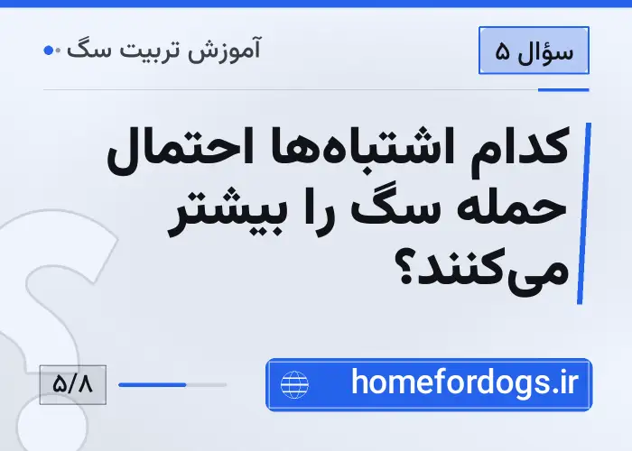 کدام اشتباه‌ها احتمال حمله سگ را بیشتر می‌کنند؟
