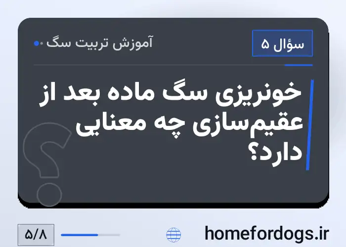 خونریزی سگ ماده بعد از عقیم‌سازی چه معنایی دارد؟