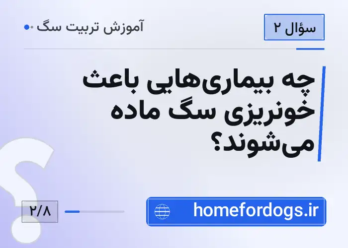 چه بیماری‌هایی باعث خونریزی سگ ماده می‌شوند؟