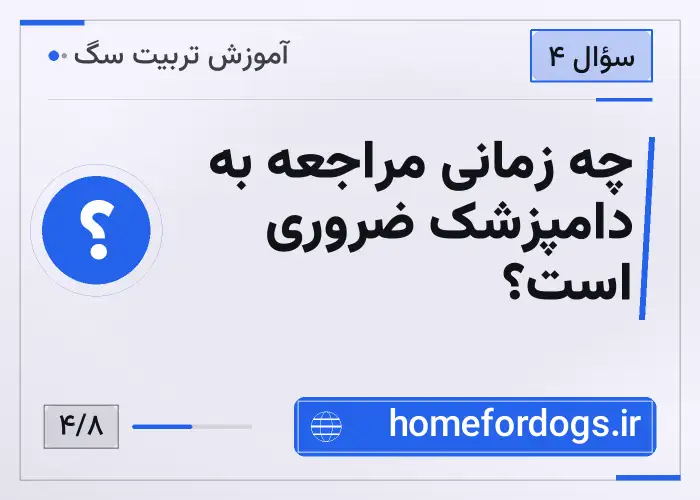 چه زمانی مراجعه به دامپزشک ضروری است؟