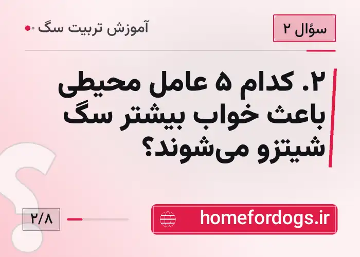 ۲. کدام ۵ عامل محیطی باعث خواب بیشتر سگ شیتزو میشوند؟