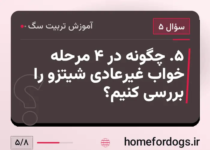 ۵. چگونه در ۴ مرحله خواب غیرعادی شیتزو را بررسی کنیم؟