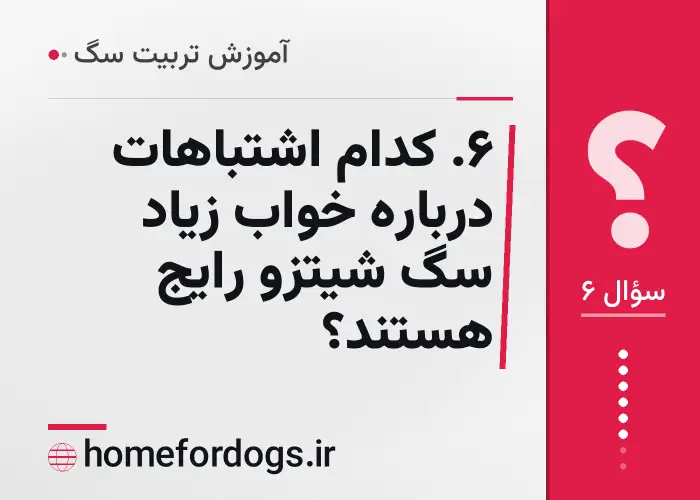 ۶. کدام اشتباهات درباره خواب زیاد سگ شیتزو رایج هستند؟