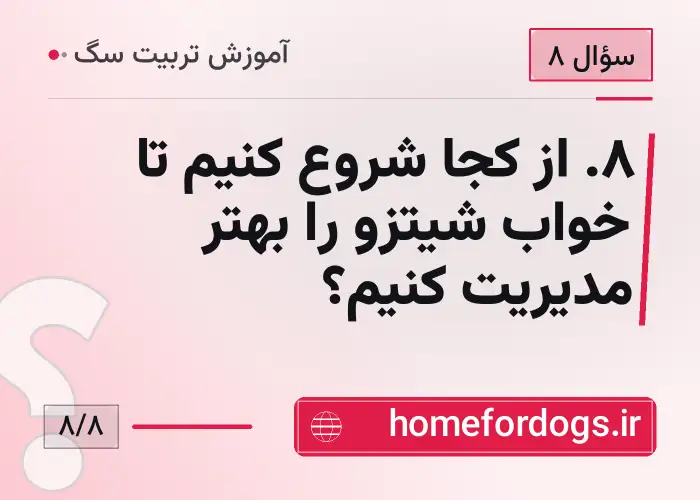 ۸. از کجا شروع کنیم تا خواب شیتزو را بهتر مدیریت کنیم؟