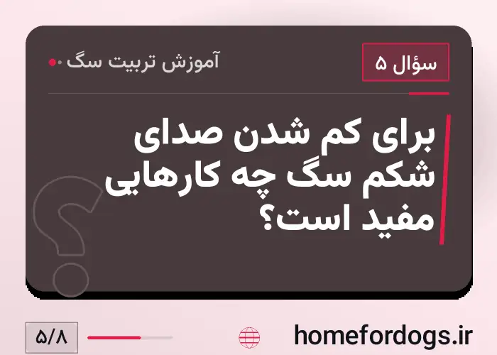 برای کم شدن صدای شکم سگ چه کارهایی مفید است؟