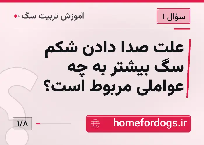 علت صدا دادن شکم سگ بیشتر به چه عواملی مربوط است؟